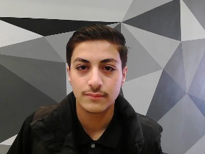 Face Image
